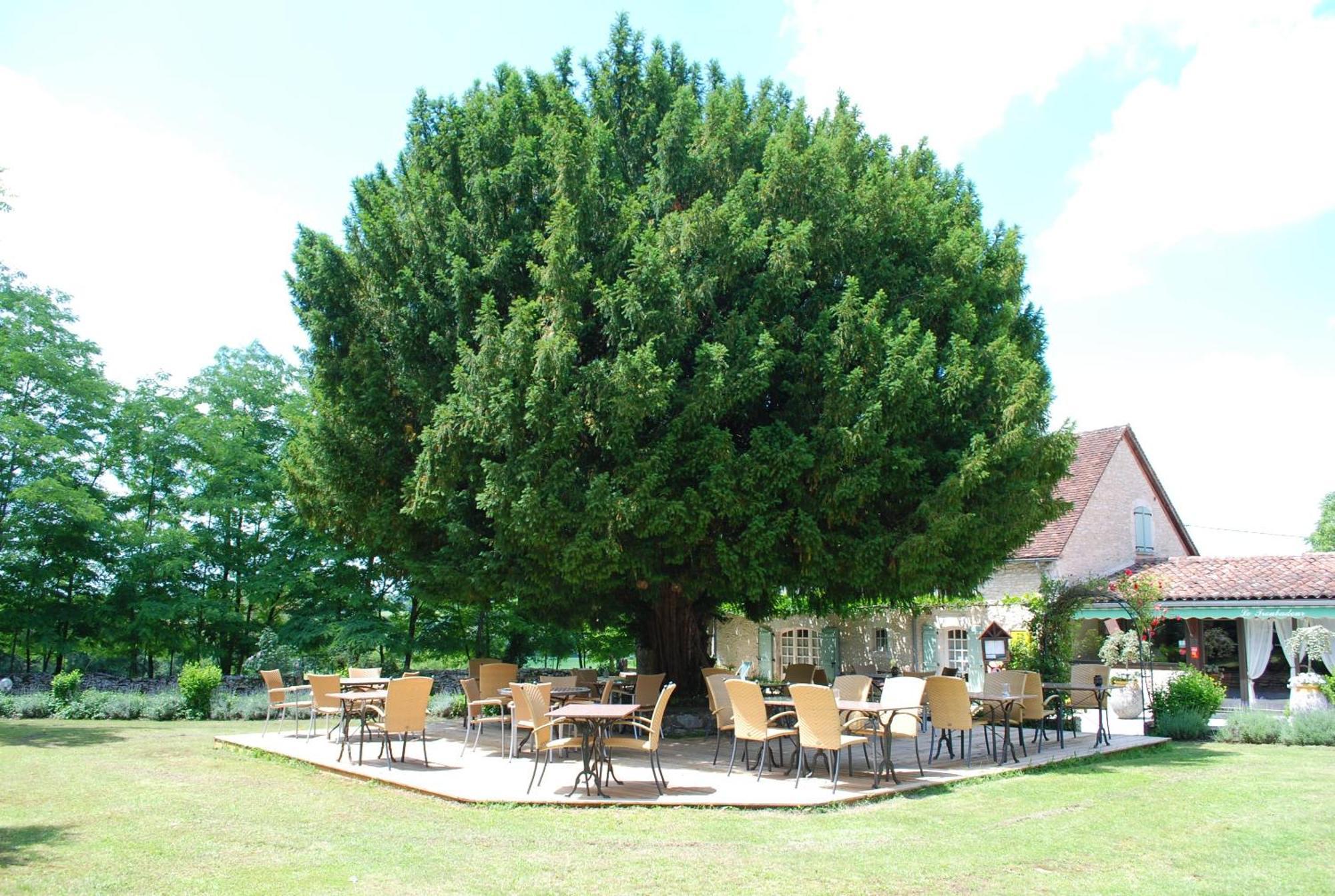 Hotel Le Troubadour A 3*